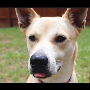 Meet your Posher, Carleen